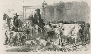 Mercato di Smithfield da English School
