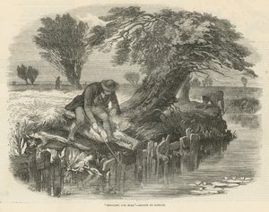Pesca delle anguille