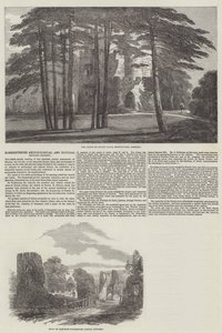 Società Archeologica e di Storia Naturale del Somersetshire (incisione) da English School