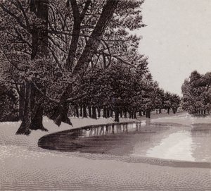 Giardini Sophia, Cardiff