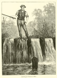 Pesca alla Trota a una Diga da English School