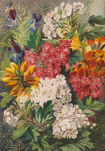 Fiori di primavera (litografia a colori)