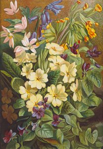 Fiori di primavera (litografia a colori)