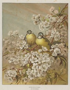 Primavera