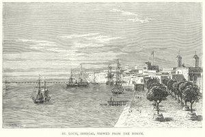 St Louis, Senegal, vista da nord (incisione) da English School