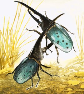 Cervo volante