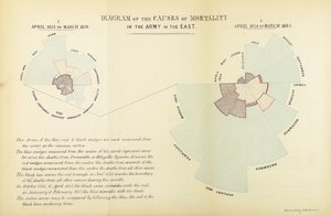 Grafico statistico inventato da Florence Nightingale per mostrare la predominanza delle malattie come causa di mortalità nell