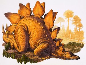 Stegosauro (gouache su carta)