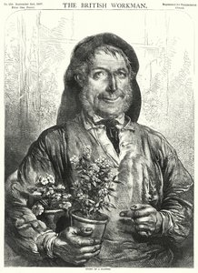 Storia di un fiore