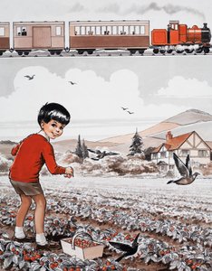 Raccolta di fragole da English School