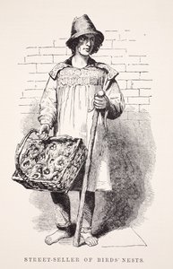 Venditore di nidi di uccelli per strada, illustrazione da London Labour and London Poor di Henry Mayhew, pub. 1862 da English School