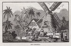 Produzione di zucchero (incisione)