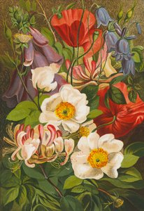 Fiori estivi (litografia a colori)