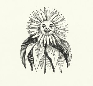 Girasole da English School