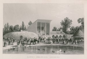 Giardini Zoologici del Surrey da English School