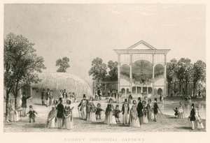 Giardini Zoologici del Surrey, Kennington, Londra: la nuova Orchestra