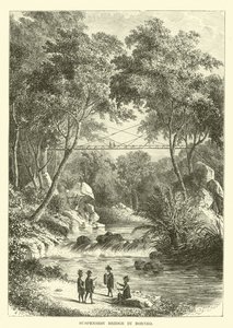 Ponte Sospeso nel Borneo da English School