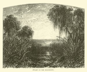 Palude sul Mississippi