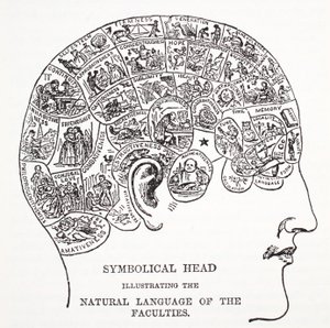 Testa simbolica che mostra il linguaggio naturale delle facoltà da English School