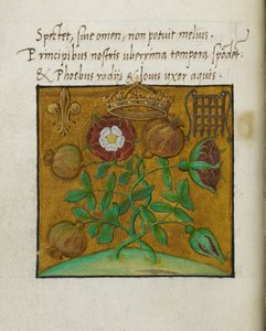 Simboli della regalità, illustrazione per 