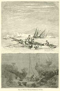 Pescatori di spugne siriani al lavoro