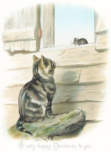Gatto tigrato che osserva un topo da English School