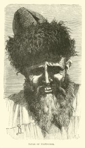 Tartaro di Piatigorsk da English School
