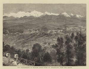 Coltivazione del Tè in India Britannica, Vista di Darjeeling dal Sud da English School