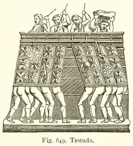 Testudo da English School