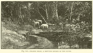 Thames Head, una presunta fonte del fiume da English School