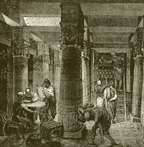 La biblioteca di Alessandria da English School