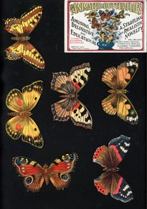 Le Farfalle Animate, Divertenti, Decorative ed Educative, Una Novità Sorprendente e Realistica da English School