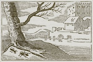 La formica e la mosca (incisione) da English School