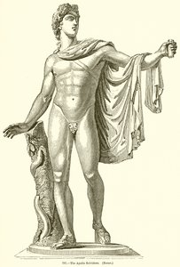 Apollo del Belvedere (Roma) da English School