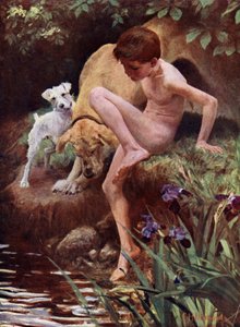 I bagnanti - ragazzo e cani che nuotano