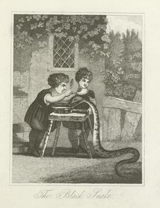 Il serpente nero