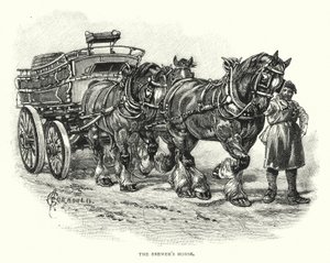 Il cavallo del birraio
