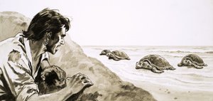 I naufraghi: terrore dell