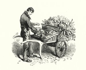 Il costermonger da English School