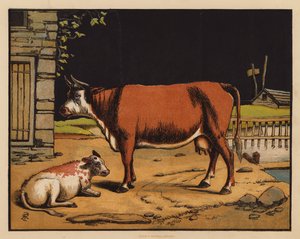 La mucca da English School