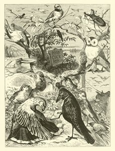 La morte e la sepoltura di Cock Robin da English School
