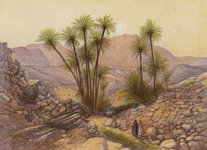 Il deserto del Sinai da English School