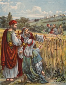 I discepoli che raccolgono il grano