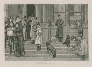 La questione del cane - Nessuna ammissione da English School