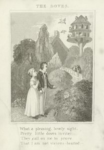 Le colombe