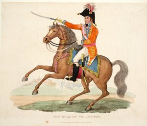 Il Duca di Wellington, pub. da Richard Evans, inciso da Romney, illustrazione da An Historical Account of the Battle of Waterloo di William Mudford, 1816