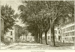 The Elms, Università di Yale