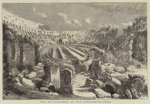 Gli scavi al Colosseo, Roma da English School