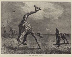 La caduta della giraffa