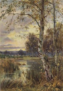 La foglia cadente